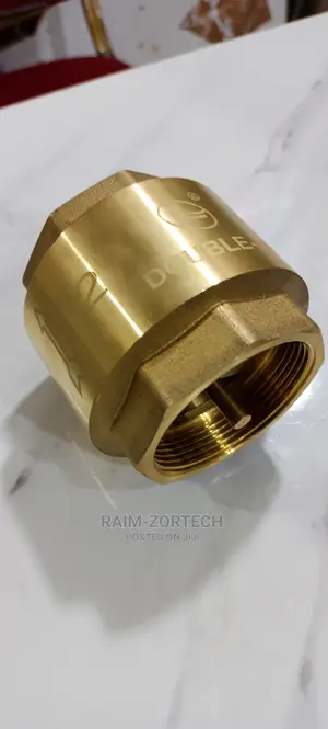 2" Brass Spring Loaded Non-Return Valve