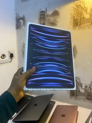 New Apple iPad Pro 12.9 (2022) 512 GB Gray