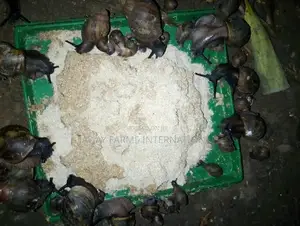 Snail Formulated Feed