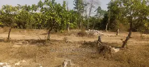 300sqm Estate Plot