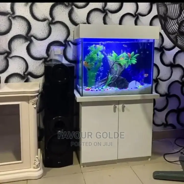Aquarium Interior Design