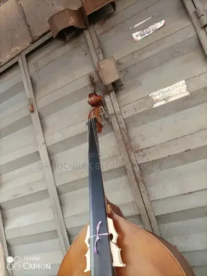 Double Bass
