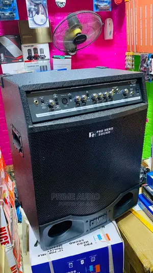 Bass Guitar Combo 3000 Watts