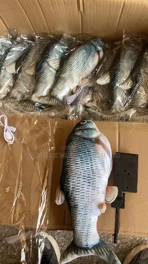 Dancing Toy Fish