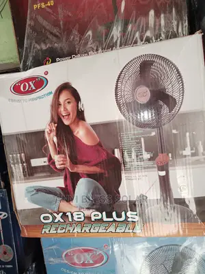Rechargeable Ox Fan