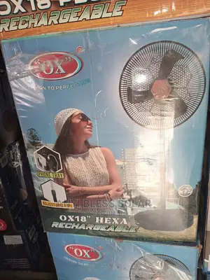 Rechargeable Fan