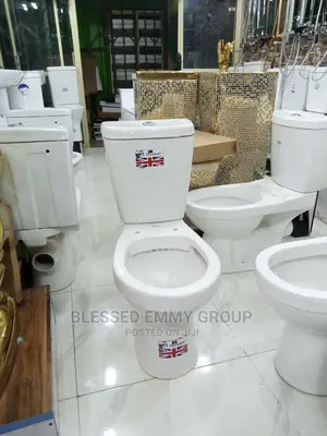 Golden Diamond WC Set With the Wash Hand Basin