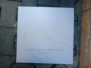 Kitchen and Toilet Floor Unique Tiles