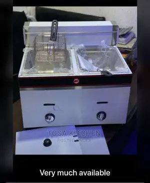 Commercial Fryer
