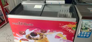 Pantronic Freezer SCSD-P500a
