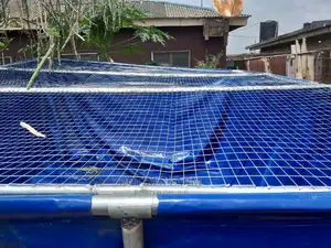 Special Taupoling Fish Pond