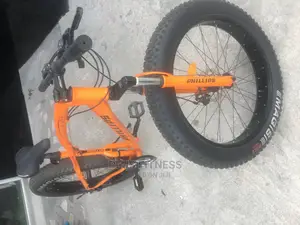 Adult Phillip Bicycle