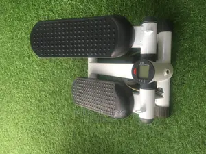Mini Stepper and Icd Monitor