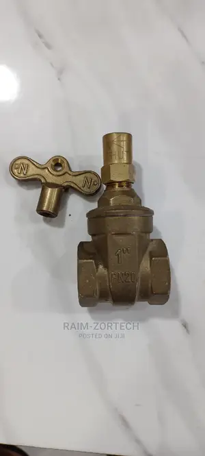 1" Lock and Take Gate Valve