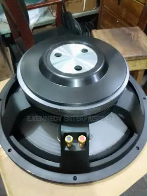 Professional Stock Heavy-Duty 15" Bass Magnet Naked Speaker