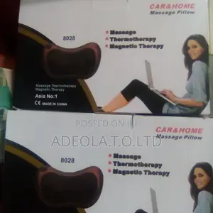 Home and Car Massager