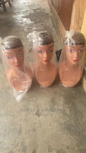 Long Neck Mannequin Plastic Heads