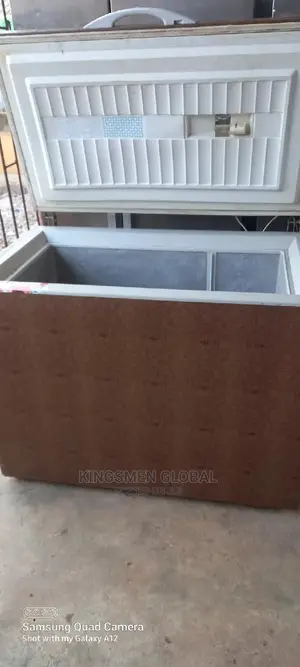 Liebherr High Quality Deep Freezer Made in Germany