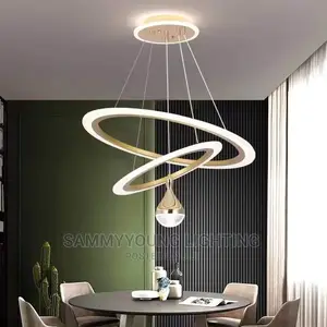 Quality Modern Pendant Dropping LED Light