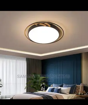 Ceiling Flush Light