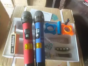 Professional Universel Double Wireless Microphone