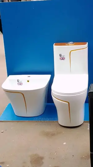 Executive Water Closet With Wall Hung Wash Hand Basin