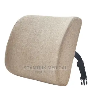 Basics Seat Cushion and Lumbar Support,