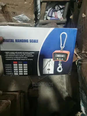 500kg Hanging Scale
