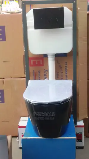 Black Conduit Wall Hung Water Closet With Good Quality