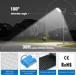 100W Highquality Solar Flood Street Light