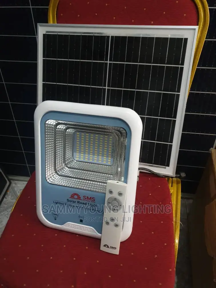 Solar Light With Panel