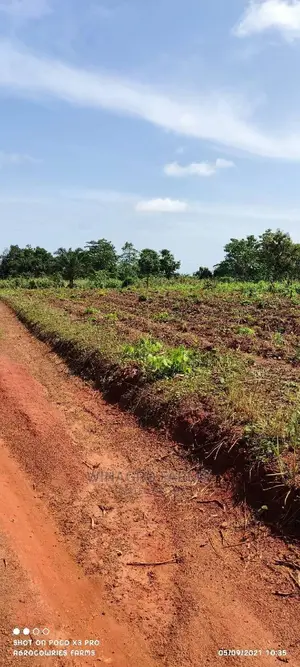 Promise Land for Farming