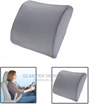 Portable Backrest Support Pillow Cushion for Pain Relief