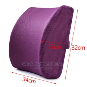 Foam Waist Cushion Pad Office Car Backrest