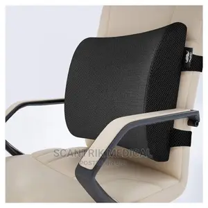 Portable Foam Lumbar Support Cushion