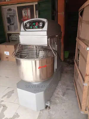 One Bag Dough Mixer With Double Motor