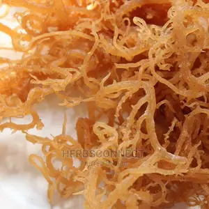 Sea Moss Wild Crafted(Wild Culture, Manual Harvested )- 100g