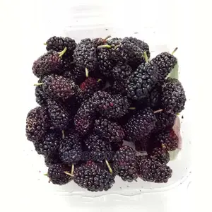 Organic Dried Mulberries - 100g