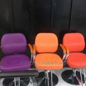 Salon Chair / Spa Chair