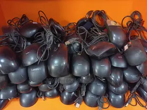 Used Mouse