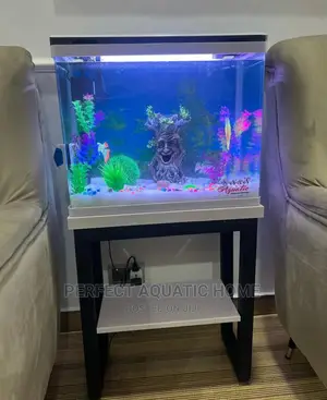 Aquarium 64 Liters