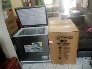 Fast and Efficient LG Chest Freezer Gc-238l