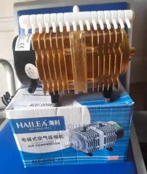 Air Compressor/Oxygen Pump