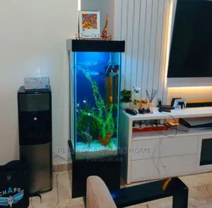 Aquarium Fish Tank Long View