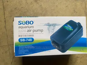 Two Outlet Air Pump