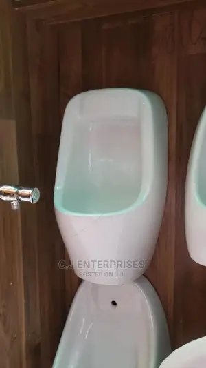 Big Urinary Bowl