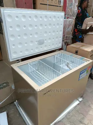 Quality Skyrun Deep Freezer 350l With 2years Warranty