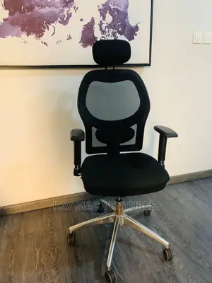 Original Executive Stylish Director Chair