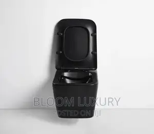 Black Wall Hang Conceal Toilet