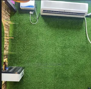 Artificial Grass/Synthetic Turf